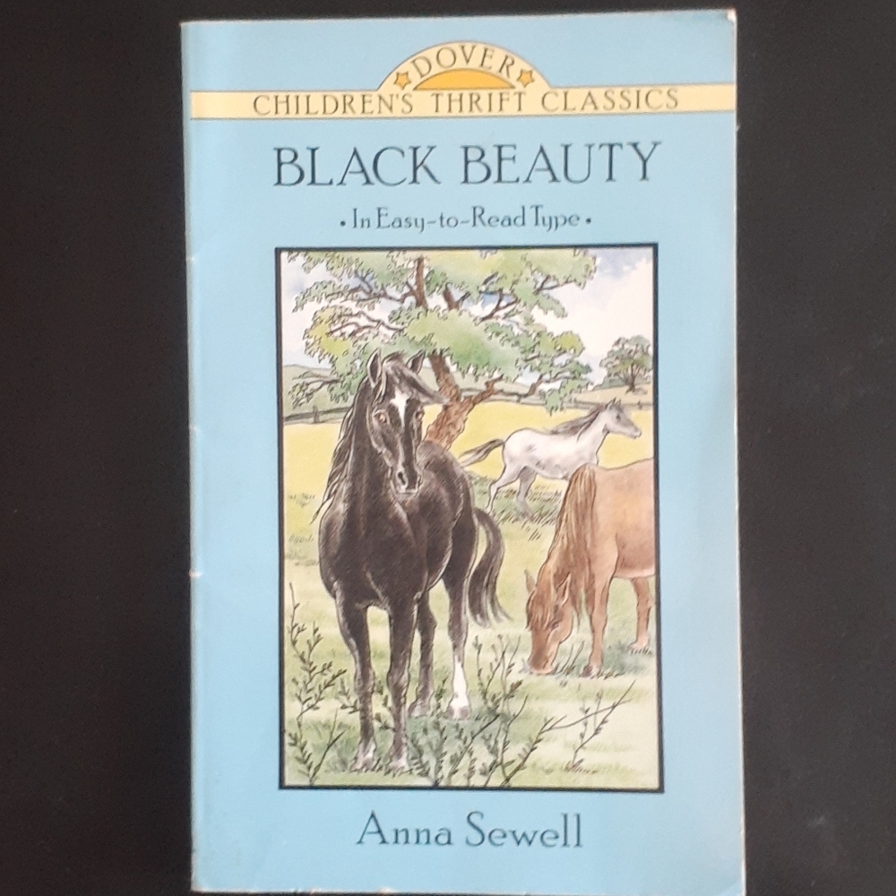Chapter books - Picture 5 of 5